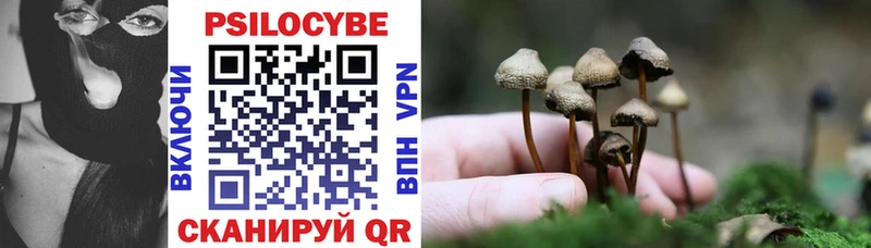 цены наркотик  Медынь  Галлюциногенные грибы Magic Shrooms 